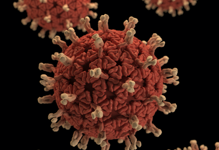 cdc-c4IBsSCuwIU-unsplash@2x