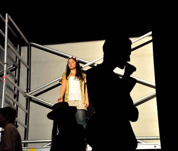 Maik�fer flieg 1, 2015