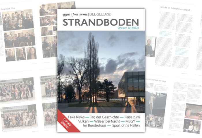 Jahresbericht 2019-2020 2
