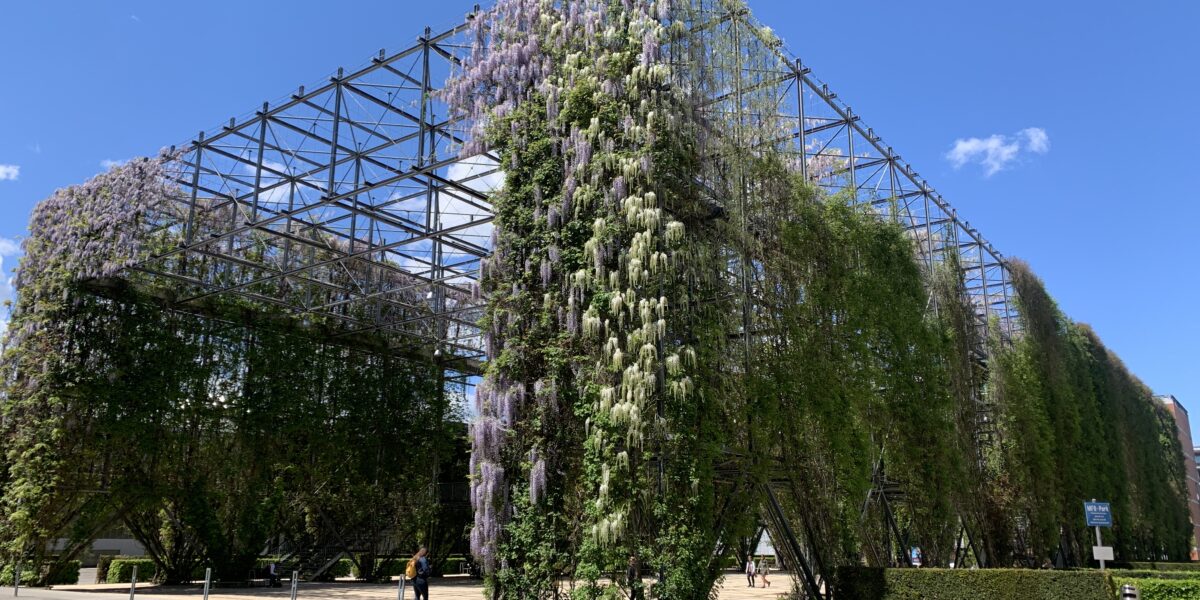 Bild-20210514-112736-dba22ece