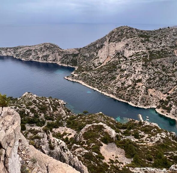 27147d4f-3244-4785-b500-989c9e5e40f4