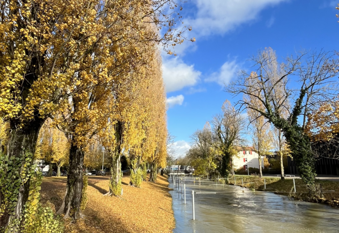 Herbst