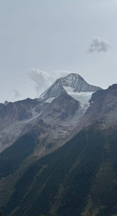 75551b22-cbfd-47d6-a89f-d6578e1c2fd3