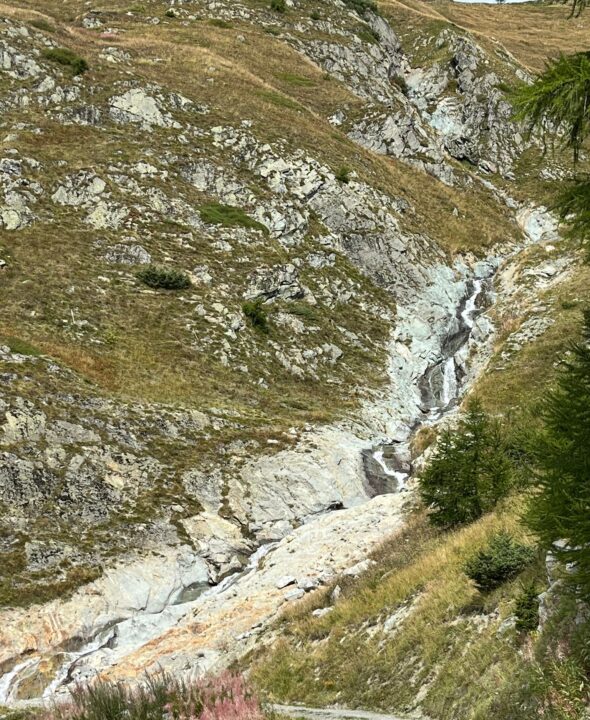 d29eeccd-1d6c-4bf6-b1a3-a45b12f99a9b